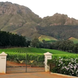 Thelema Wine Estate