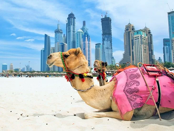 Dubai Transit Vacation